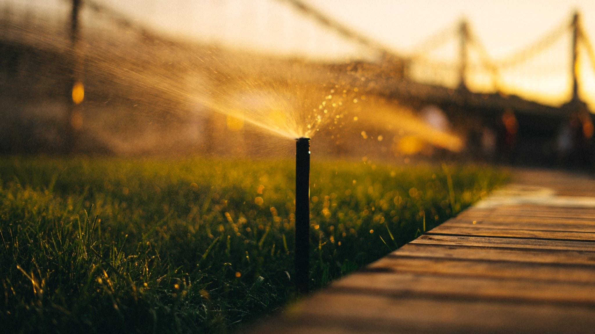 Expert Drainage Services in Springtown , TX | Bob's Landscape & Irrigation Solutions LLC