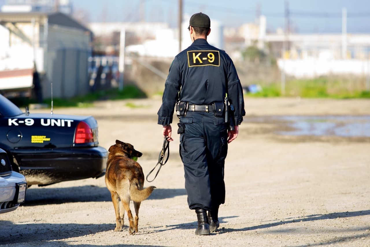 Security Dog Services Liverpool – Professional Security Dog Services Liverpool for Effective Protection | ISA Support Services