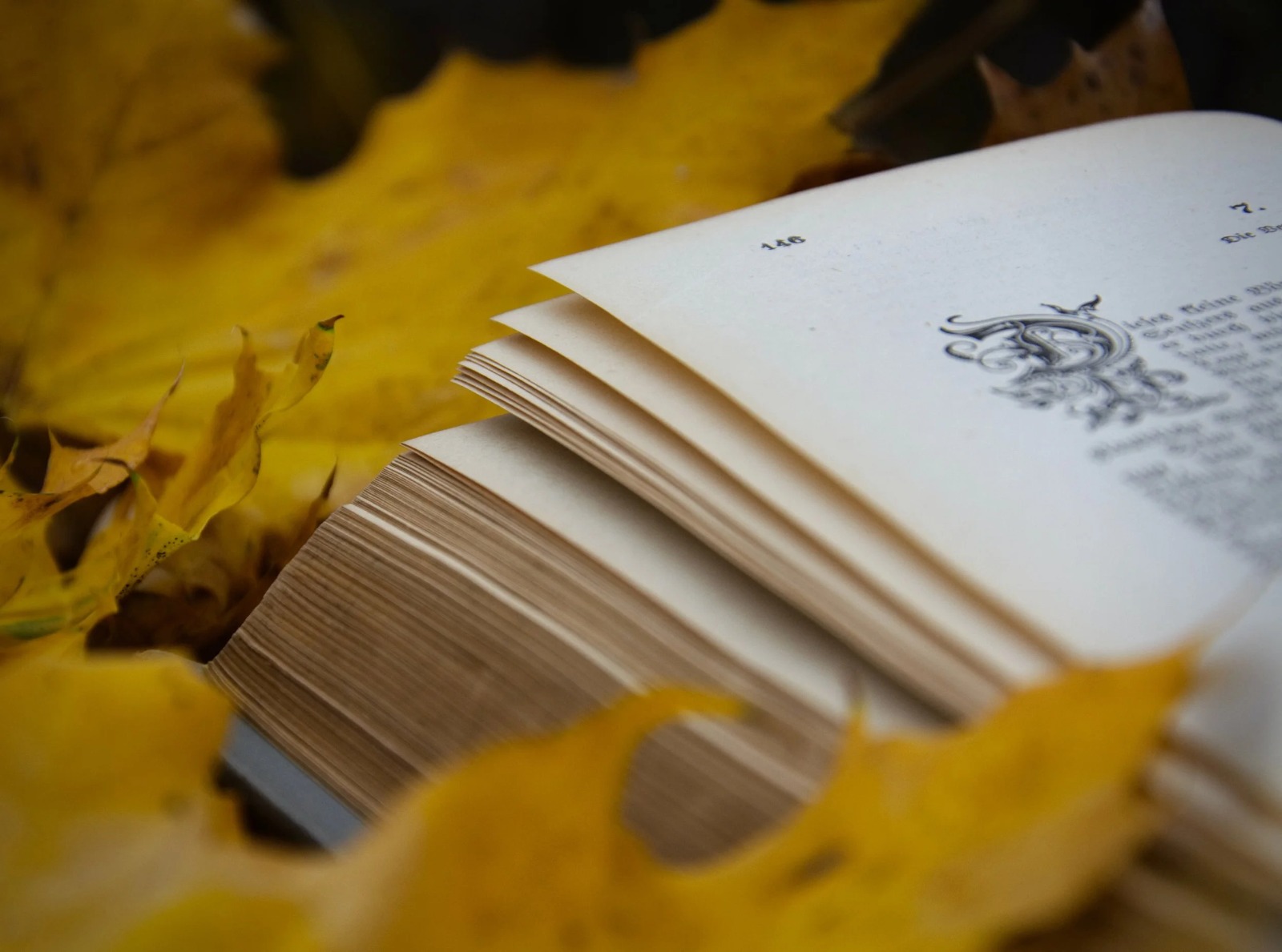 The Fantasy Adventure That Defines the Raynes Legacy Series