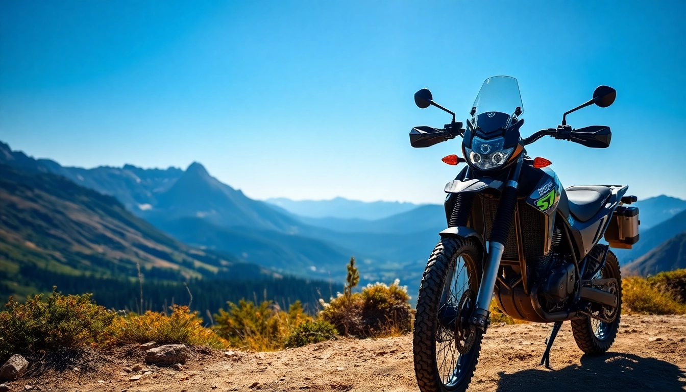 Ride dual sport street legal motorcycles across stunning mountain trails.